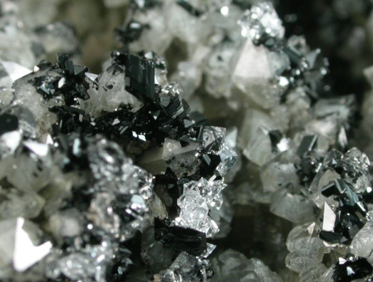 Ilvaite on Quartz from Nikolaevskiy Mine, Dalnegorsk, Primorskiy Kray, Russia