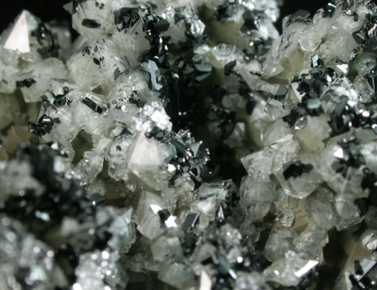 Ilvaite on Quartz from Nikolaevskiy Mine, Dalnegorsk, Primorskiy Kray, Russia