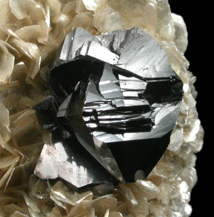 Cassiterite (twinned crystals) on Muscovite from Xuebaoding Mountain near Pingwu, Sichuan Province, China