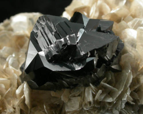 Cassiterite (twinned crystals) on Muscovite from Xuebaoding Mountain near Pingwu, Sichuan Province, China