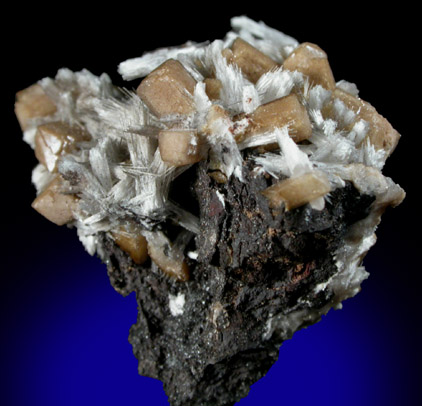 Olmiite and Bultfonteinite from Wessels Mine, Kalahari Manganese Field, Northern Cape Province, South Africa (Type Locality for Olmiite)