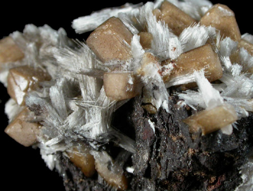 Olmiite and Bultfonteinite from Wessels Mine, Kalahari Manganese Field, Northern Cape Province, South Africa (Type Locality for Olmiite)