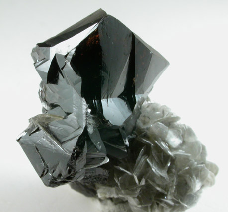 Cassiterite (twinned crystals) on Muscovite from Xuebaoding Mountain near Pingwu, Sichuan Province, China