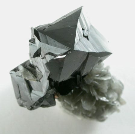 Cassiterite (twinned crystals) on Muscovite from Xuebaoding Mountain near Pingwu, Sichuan Province, China