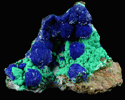 Azurite on Malachite from Globe-Miami District, Gila County, Arizona