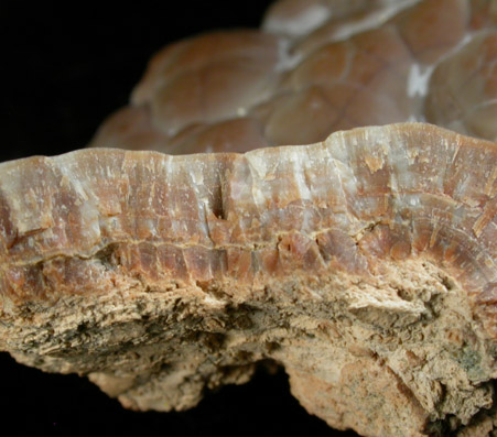 Quartz var. Chalcedony from New Almaden Mine, Santa Teresa Hills, Santa Clara County, California