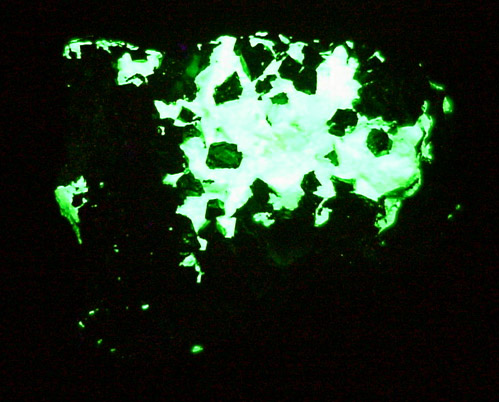 Willemite, Franklinite, Andradite, Leucophoenicite from Franklin, Sussex County, New Jersey (Type Locality for Leucophoenicite and Franklinite)