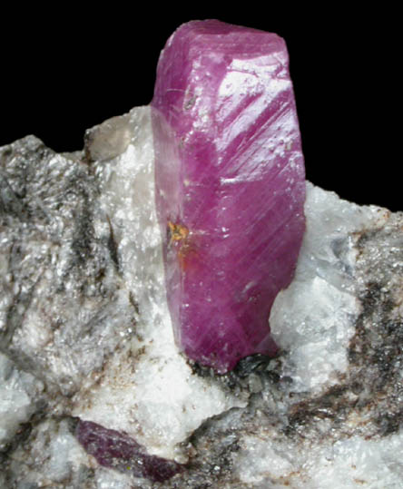 Corundum var. Ruby from Mysuru (formerly Mysore), Karnataka, India