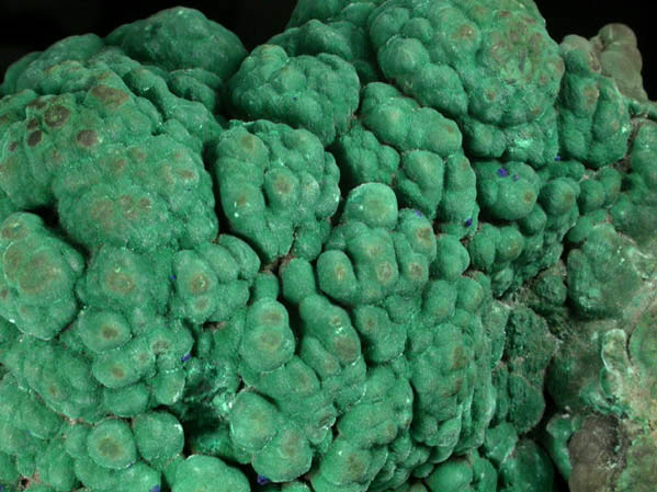 Malachite over Tenorite with Azurite from Bisbee, Warren District, Cochise County, Arizona