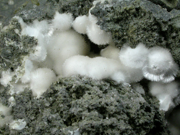 Natrolite with Calcite from Millington Quarry, Bernards Township, Somerset County, New Jersey