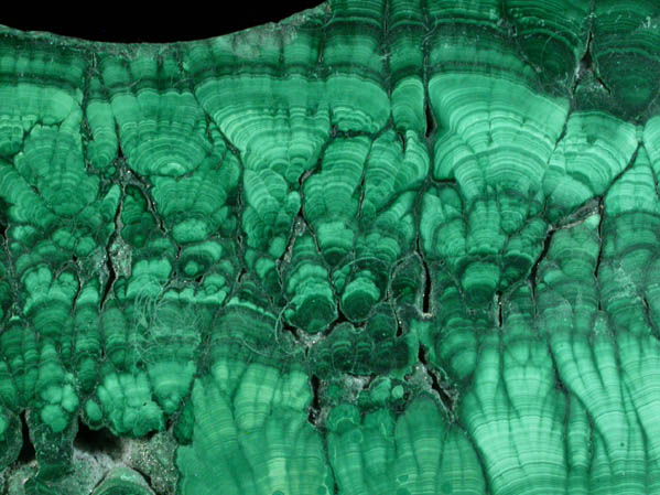 Malachite from Lubumbashi, Katanga Copperbelt, Haut-Katanga Province, Democratic Republic of the Congo