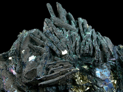 Covellite with Pyrite from Butte Mining District, Summit Valley, Silver Bow County, Montana