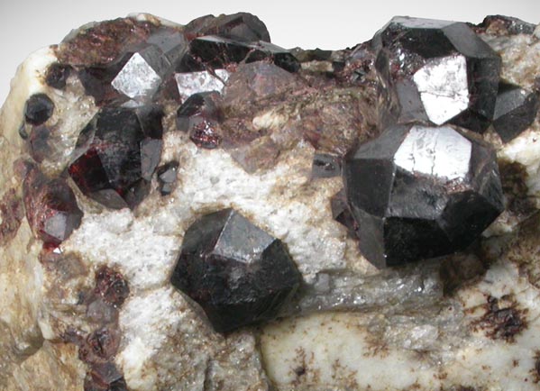 Almandine Garnet on Albite from Russell, Hampden County, Massachusetts