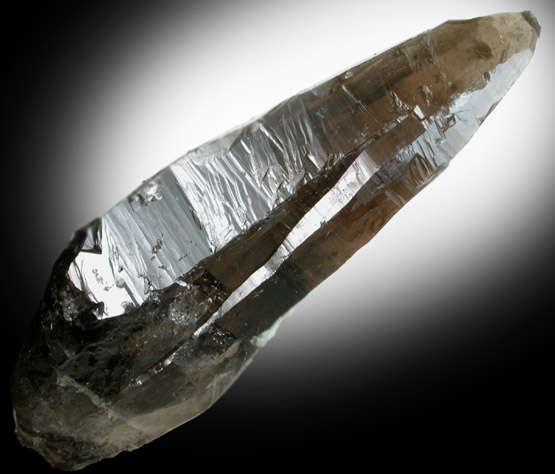 Quartz var. Smoky Quartz (Dauphin-law twin) from Rocket Claim, Crystal Peak area, Teller County, Colorado