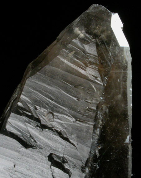 Quartz var. Smoky Quartz (Dauphin-law twin) from Rocket Claim, Crystal Peak area, Teller County, Colorado