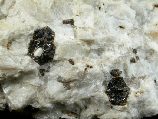 Thorite in Garnet from Crestmore Quarry, Crestmore, Riverside County, California