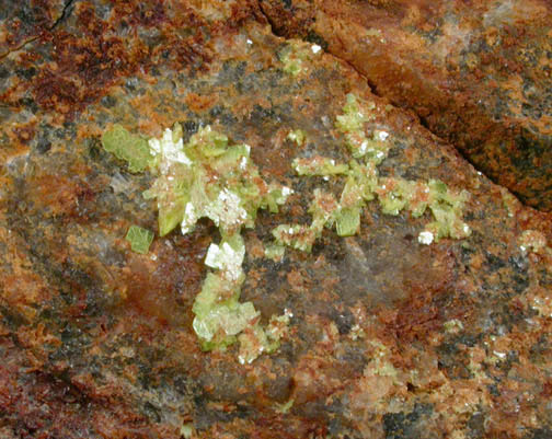 Autunite on Uraninite from Midnight Mine, Deer Trail District, Stevens County, Washington