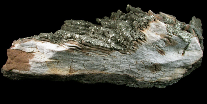 Pyrite on Limestone from Rensselaer Quarry, Pleasant Ridge, 6 km east of Rensselaer, Jasper County, Indiana