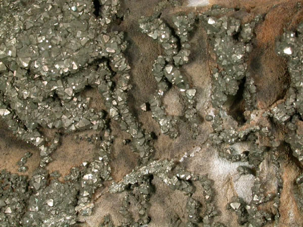 Pyrite on Limestone from Rensselaer Quarry, Pleasant Ridge, 6 km east of Rensselaer, Jasper County, Indiana