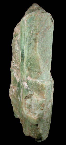 Beryl from Haddam, Middlesex County, Connecticut