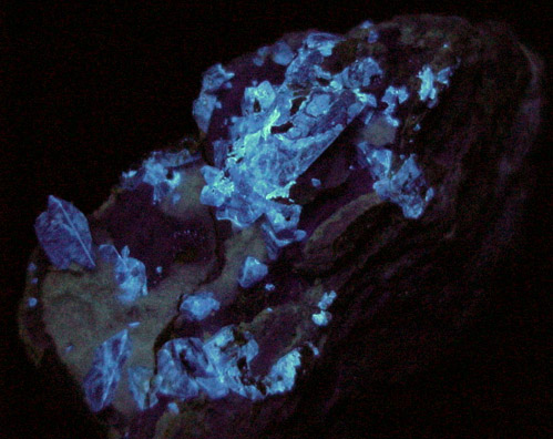 Benitoite on Natrolite with Neptunite from Benitoite Gem Mine, San Benito County, California (Type Locality for Benitoite)