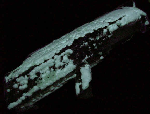 Gypsum var. Selenite with Smithsonite and Hydrozincite from Mina la Platosa, Bermejillo, Durango, Mexico