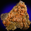 Pyromorphite from Bunker Hill Mine, Coeur d'Alene District, Shoshone County, Idaho