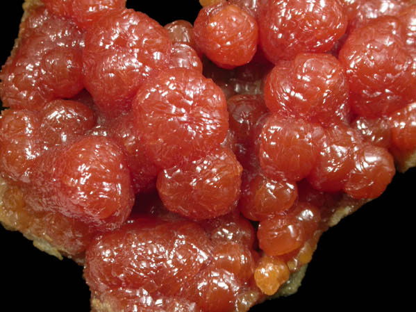 Pyromorphite from Bunker Hill Mine, Coeur d'Alene District, Shoshone County, Idaho