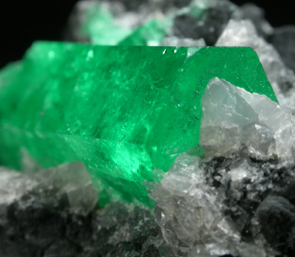 Beryl var. Emerald in Calcite from Coscuez Mine, Vasquez-Yacopí District, Boyacá Department, Colombia