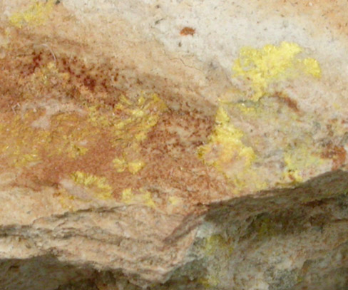Haynesite from Repete Mine, San Juan County, Utah (Type Locality for Haynesite)