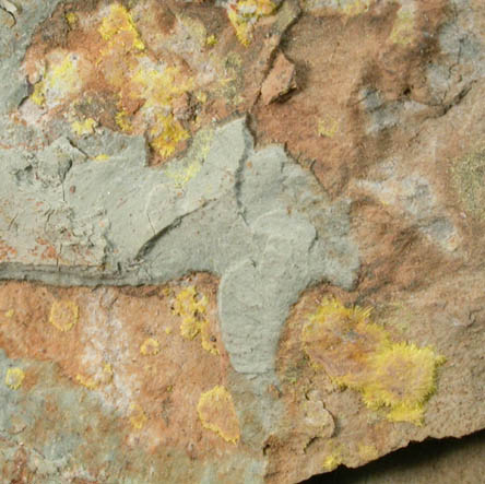 Haynesite from Repete Mine, San Juan County, Utah (Type Locality for Haynesite)