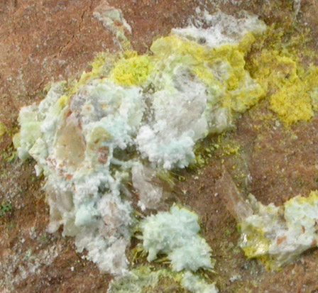 Blatonite from Jomac Mine, White Canyon, San Juan County, Utah (Type Locality for Blatonite)