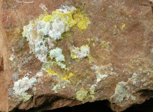 Blatonite from Jomac Mine, White Canyon, San Juan County, Utah (Type Locality for Blatonite)