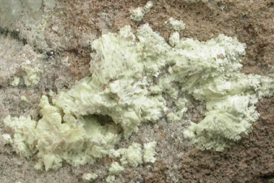 Metarossite from Arrowhead Prospect, Bull Pen Canyon, Slick Rock District, San Miguel County, Colorado