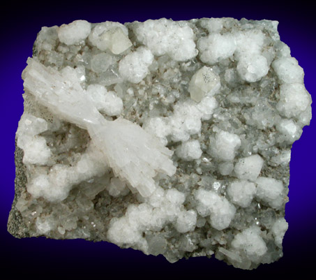 Natrolite, Analcime, Apophyllite, Calcite from Laurel Hill (Snake Hill) Quarry, Secaucus, Hudson County, New Jersey