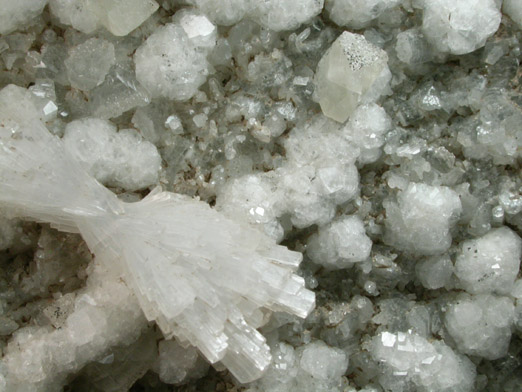 Natrolite, Analcime, Apophyllite, Calcite from Laurel Hill (Snake Hill) Quarry, Secaucus, Hudson County, New Jersey