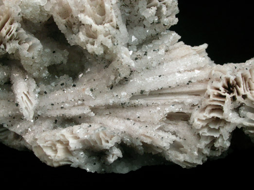 Quartz pseudomorphs after Anhydrite with Chamosite from Prospect Park Quarry, Prospect Park, Passaic County, New Jersey