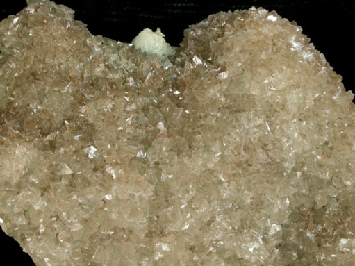 Prehnite pseudomorph after Anhydrite with Calcite from Prospect Park Quarry, Prospect Park, Passaic County, New Jersey