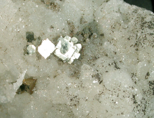 Pyrite on Datolite pseudomorph after Anhydrite from Millington Quarry, Bernards Township, Somerset County, New Jersey