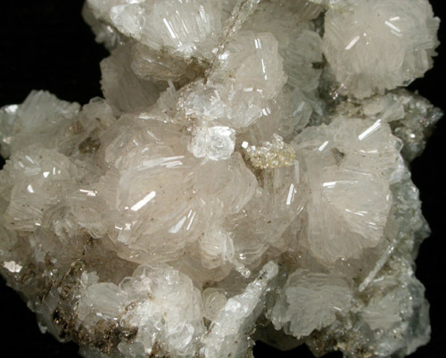 Apophyllite on Datolite from Millington Quarry, Bernards Township, Somerset County, New Jersey