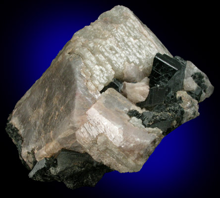 Albite, Microcline, Fluororichterite from Gibson Road, Wilberforce, Ontario, Canada