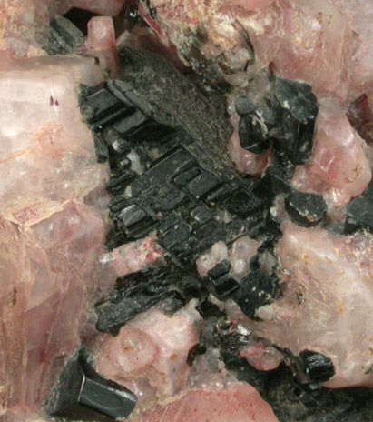 Microcline-Albite and Augite from Griffith, Ontario, Canada