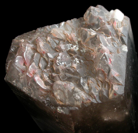 Quartz var. Smoky Quartz from Devil's Head, Rampart Range, 25 km swouthwest of Castle Rock, Douglas County, Colorado