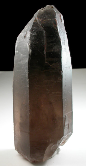 Quartz var. Smoky Quartz from Devil's Head, Rampart Range, 25 km swouthwest of Castle Rock, Douglas County, Colorado