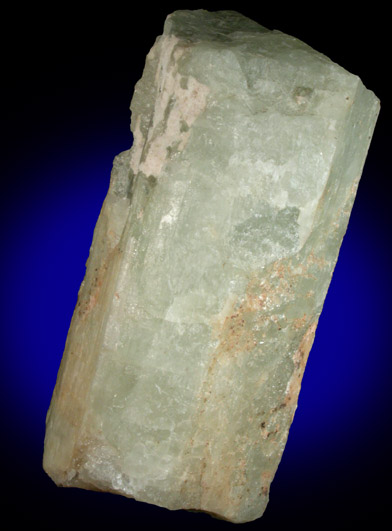 Beryl from Delaware County, Pennsylvania