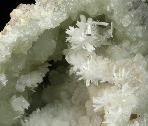 Pectolite, Apophyllite, Datolite from State Pit, Millington Quarry, Bernards Township, Somerset County, New Jersey