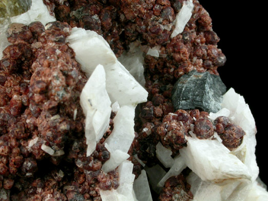 Andesine, Grossular, Biotite from Pappas Prospect, Mount Morrison District, Mono County, California