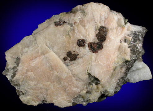 Almandine Garnet in Albite-Microcline from Harlem Meer Reconstruction Site, Central Park, Manhattan Island, New York City, New York County, New York