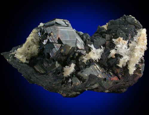 Pyrite and Quartz from Butte Mining District, Summit Valley, Silver Bow County, Montana