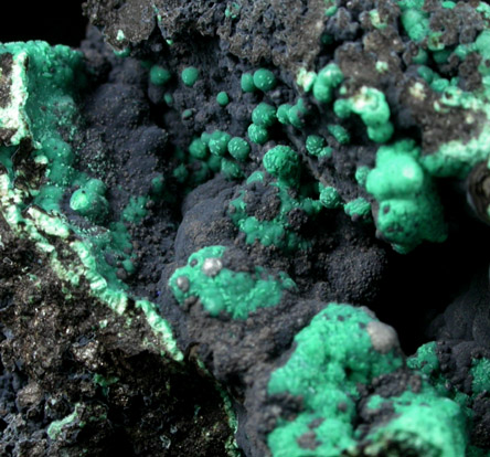 Malachite on Tenorite from Morenci Mine, Clifton District, Greenlee County, Arizona